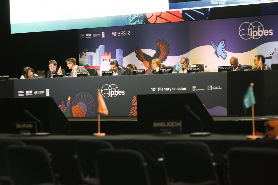 A “how‑to” guide for experts supporting delegations at IPCC and IPBES plenaries
